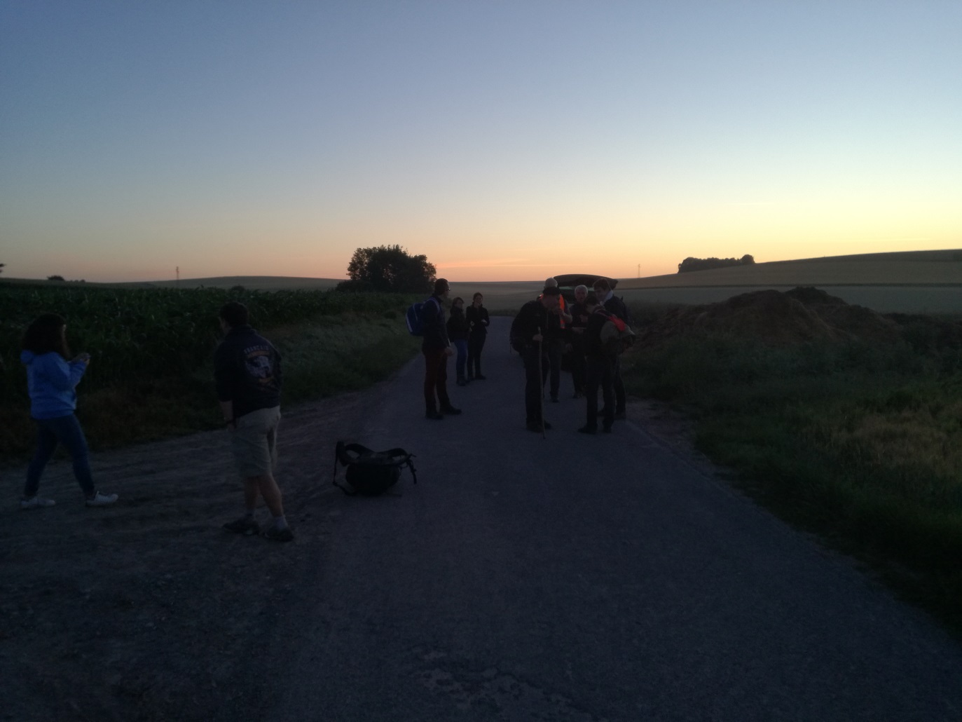 Image 17